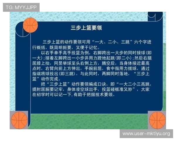 三升体育在青少年体育培训中的课程设计与教学方法创新