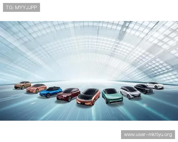 乐动体育合作伙伴与品牌联动：打造多元化体育生态圈的合作模式解析