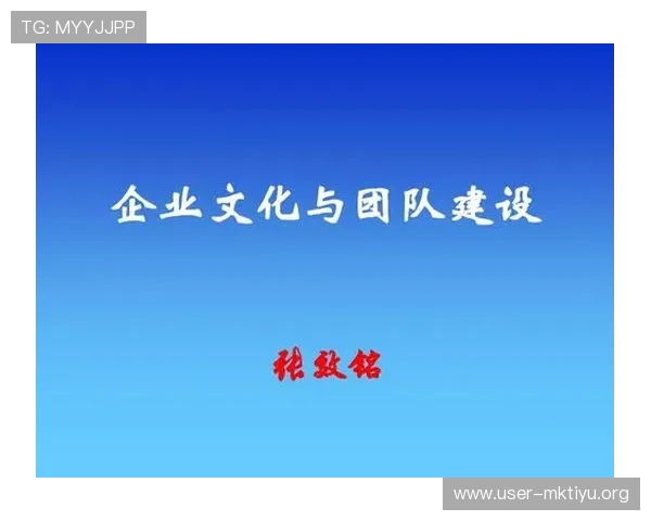 关于MK体育有限公司的企业文化与团队建设对行业发展的推动作用