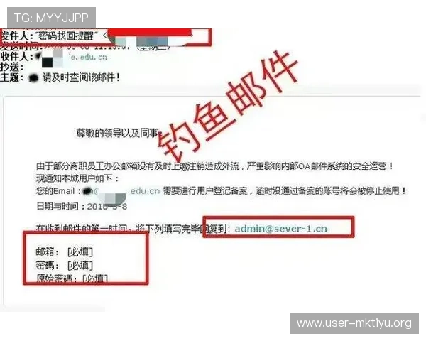 半岛的网址安全访问指南，避免钓鱼网站保障玩家账号安全与隐私